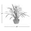 Arrangement floral cymbidium orchidées en pot-47504075