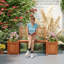 Wood Planter Box