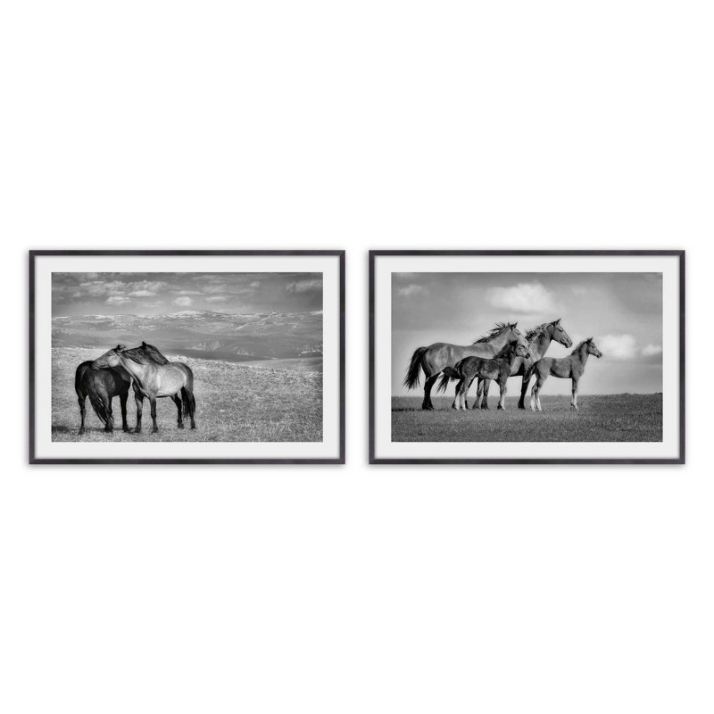 Free Spirits Set of 2 Prints in a Frame, 12.5" H x 29.5" W x 1.25" D, Weathered Zinc Framed