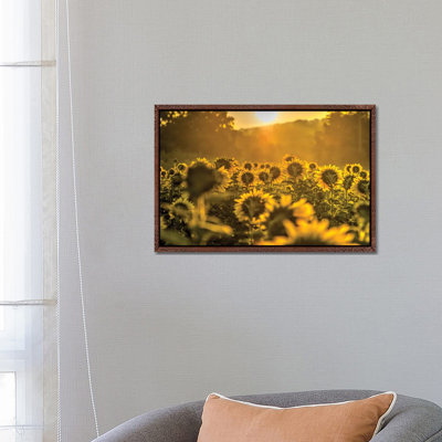 Yellow by David Gardiner - Gallery-Wrapped Canvas Giclée on Canvas