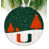 University of Miami (Floride)
