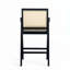 Woven Cane Plastic Backrest Bar Stool-40556752-40556753