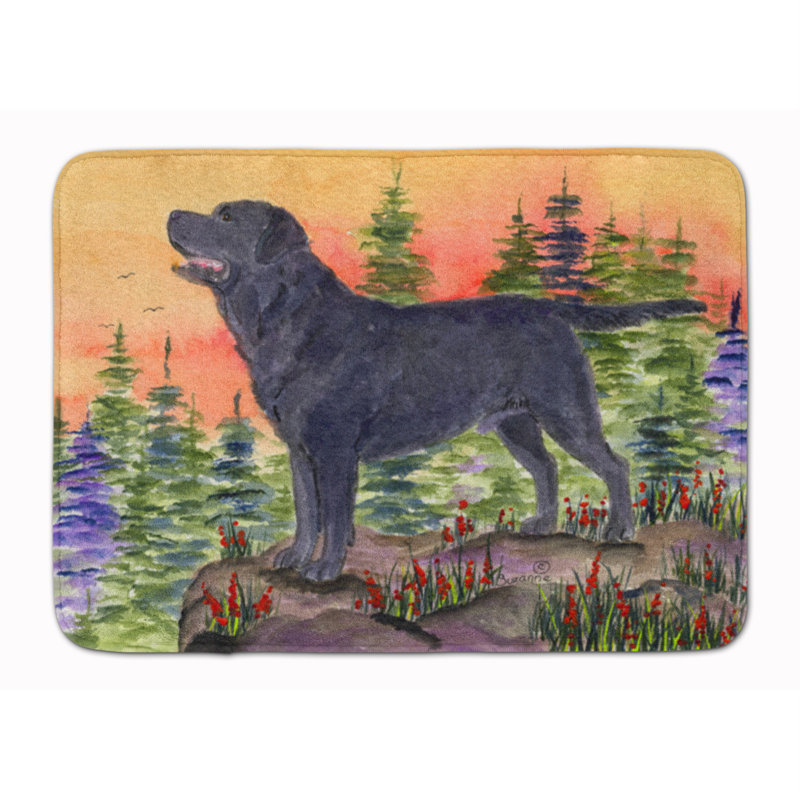 Tapis pour salle de bain en mousse à mémoire labrador Kildare