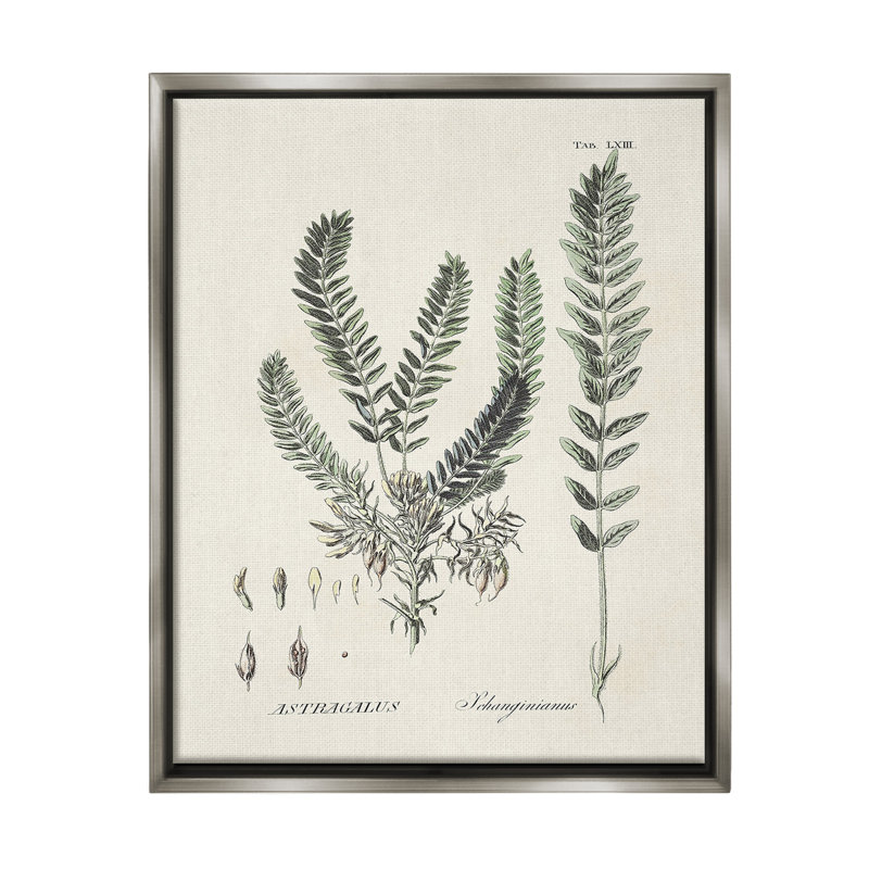 «Forest Leaves Diagram Floater Frame» par Martini sur toile, Cadre flottant gris lustré, H 21 po x l 17 po