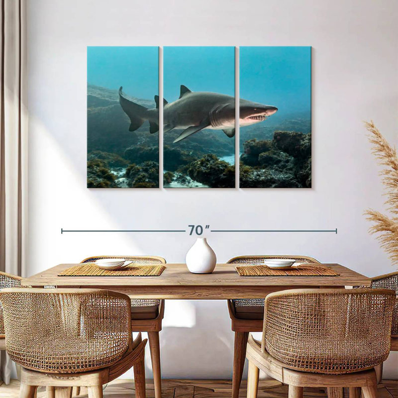 Aliwal Shoal Shark, 36" H x 57" W