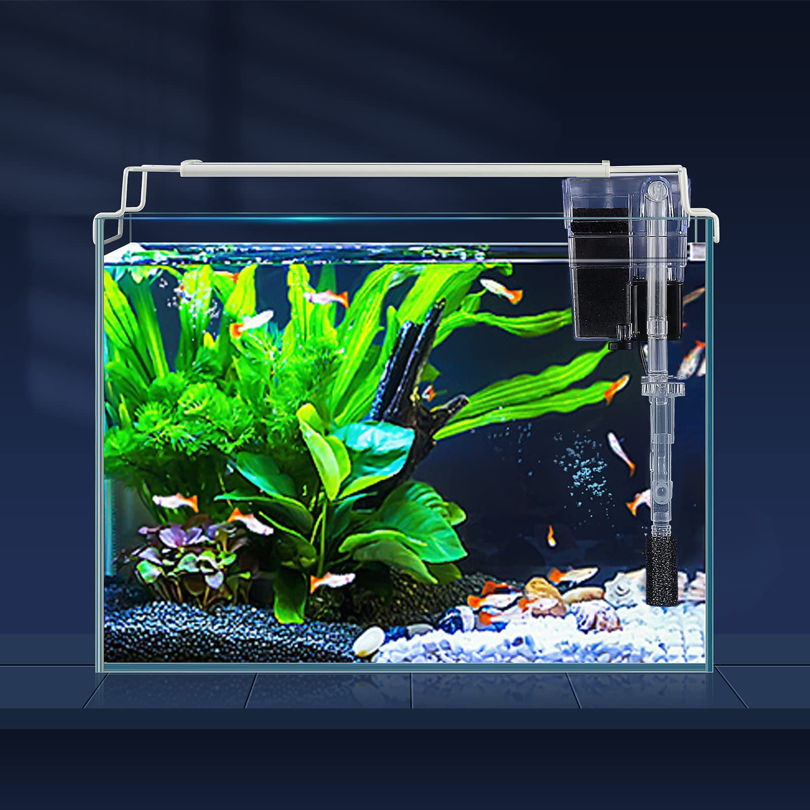 Latitude Run® Aquarium Starter Kit (3 Gal), Rimless Glass Low Iron Fish ...