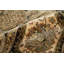 Suruchi Wool Oriental Area Rug