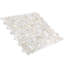 Oyster 1" Penny Round Polished Pearl Mosaic Tile