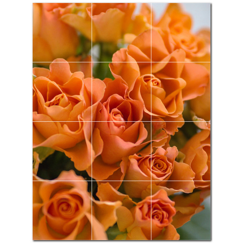 8 x 8