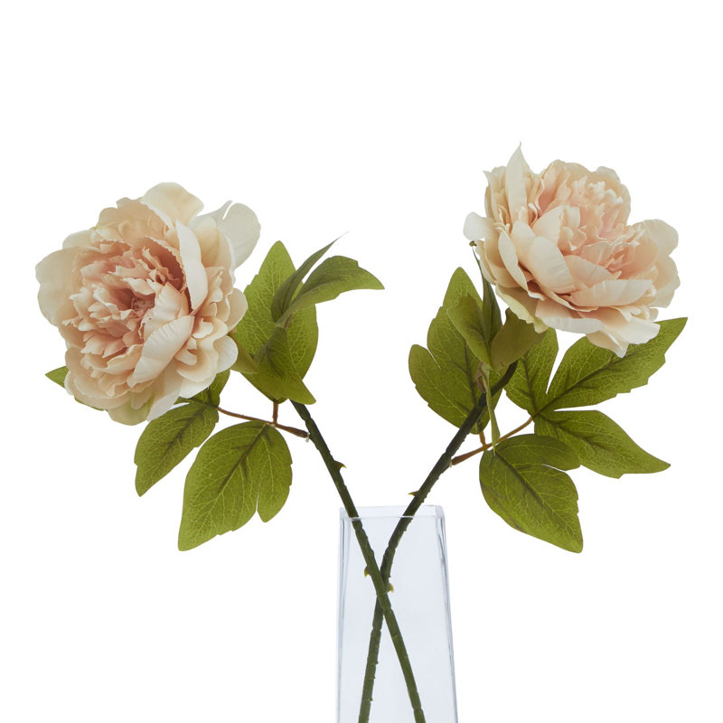 Arrangement, Pink