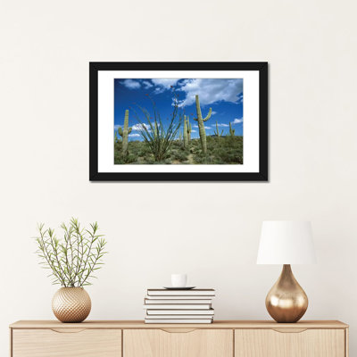 " Saguaro Cactus, Ocotillo Cactus, And Cholla Prickly Pear " by Tom Vezo
