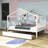 Ashiyah Full Storage Canopy Bed with Two Drawers -299420404