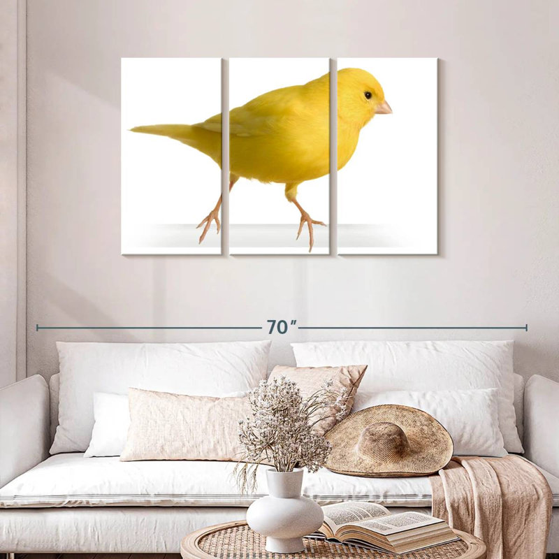 Perched Canary, 28" H x 45" W