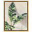 Jolies plantes I - Impression sur toile-77344005-77343990