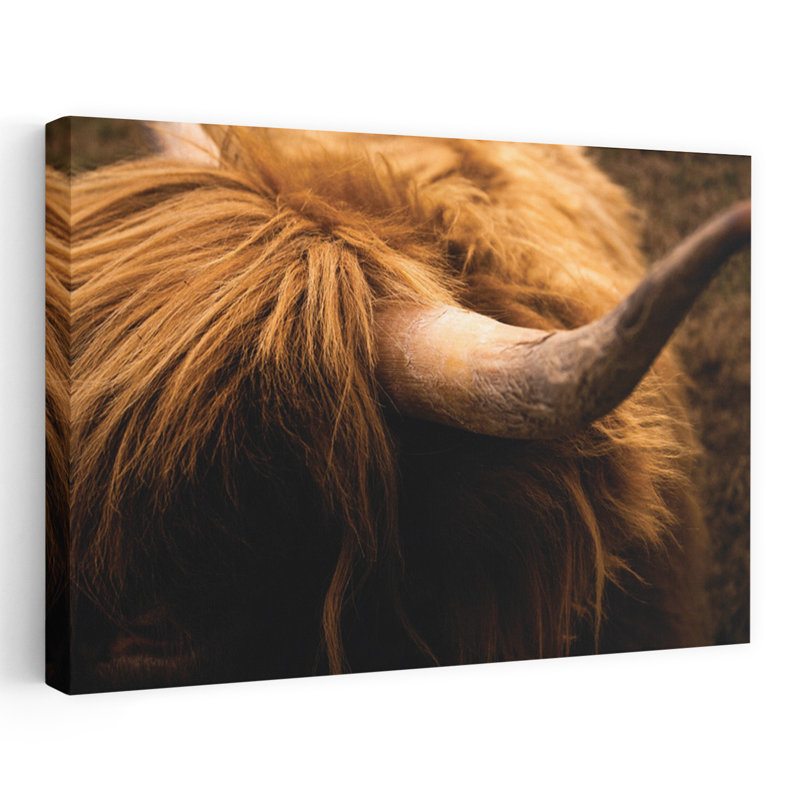 Art contemporain Highland Horn III, H 16 po x l 24 po