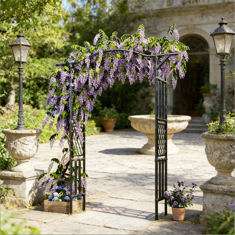 Treillis arqué extérieur, arche de jardin