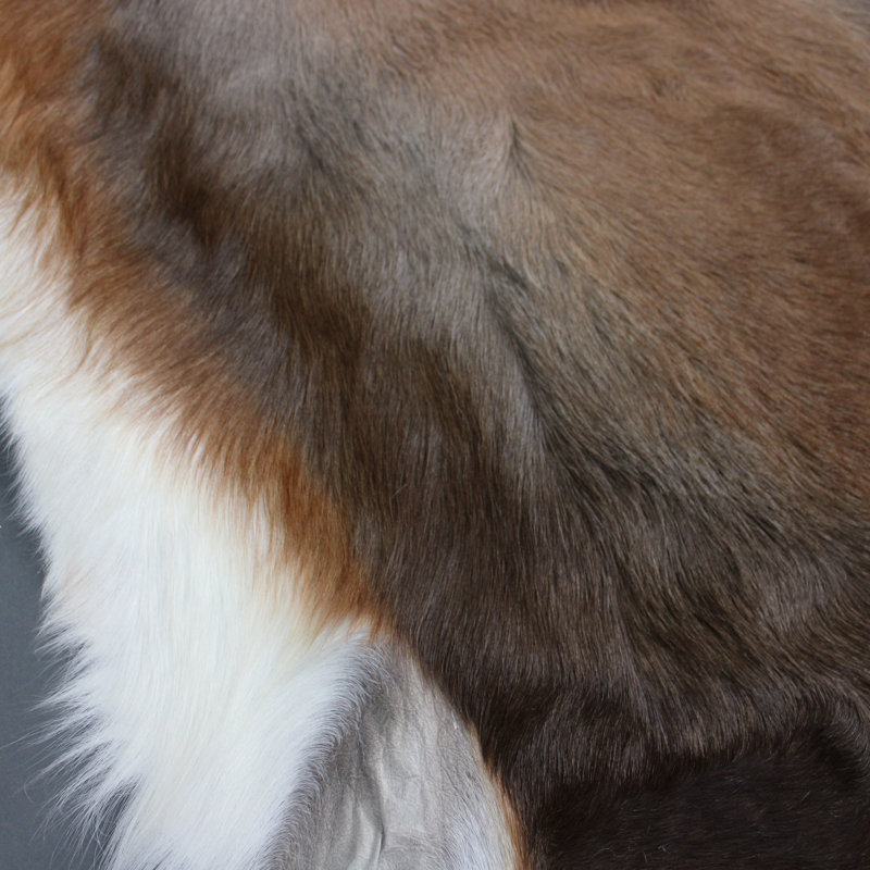 Blesbok Garvey Brown Rug
