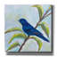 «Indigo Bunting» par Jeanette Vertentes, art mural sur toile-1163372665