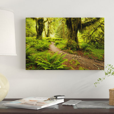 " Jungle Path Hoh Rainforest, Washington State " by Stefan Hefele