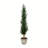 Artificial Potted Cedar Tree Full-1153616944