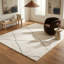Tapis d'intérieur / à treillis blanc / gris 7 pi x 10 pi (6 pi 7 po x 9 pi 6 po) Branch Branch Linea - tapis contemporain, à poils longs et résistant aux taches-946468650