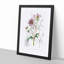 Purple Dahlia Flowers - Framed Print-55616694-55616697