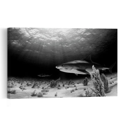 Reproduction d'art mural de requin tigre sous l'eau