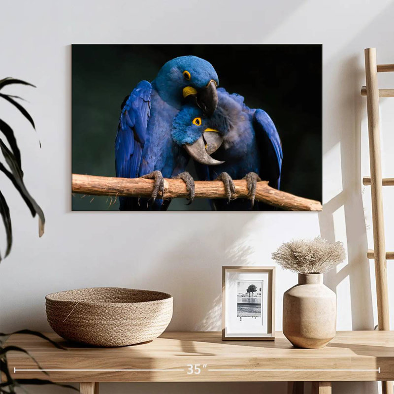 Hyacinth Blue Macaws, 16" H x 24" W