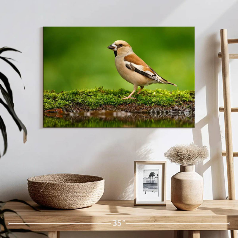 Finch