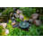 Weather Resistant Fountains Fountain
