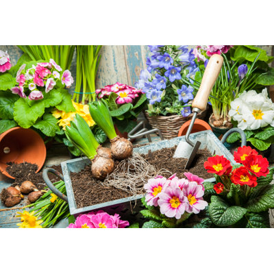 Gardening by Alexraths - Wrapped Canvas Print