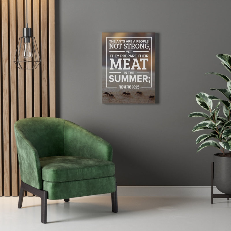 Meat In The Summer Proverbs 30:25 - Wrapped Canvas Print, 41cm H x 30cm W