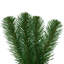 Charlton Home® 36" Deluxe Sequoia Pine Artificial Unlit Teardrop with 123 Realistic PVC Tips