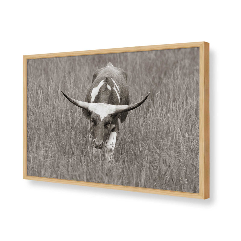 «Rainy Pasture II BW» par Nathan Larson, reproduction d'art, 30 W x 20 H, Tan, Framed Print