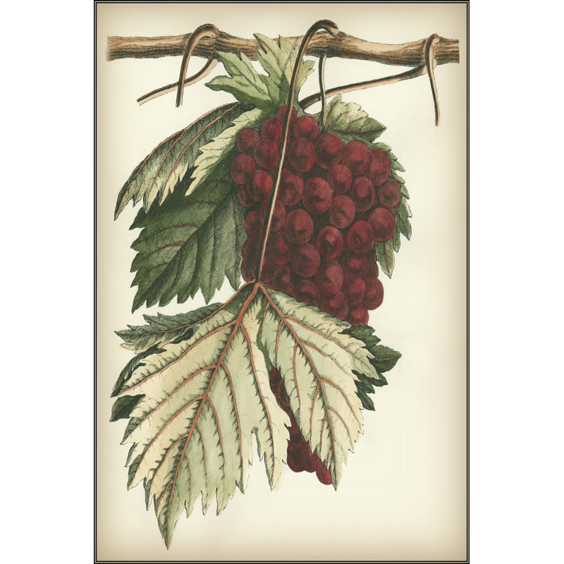 Grapes I - Wrapped Canvas Art Prints, 46cm H x 30cm W x 3.8cm D