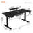 Modernchamp 63'' Dual Motor Height Adjustable Standing Desk With Laminate-91148511