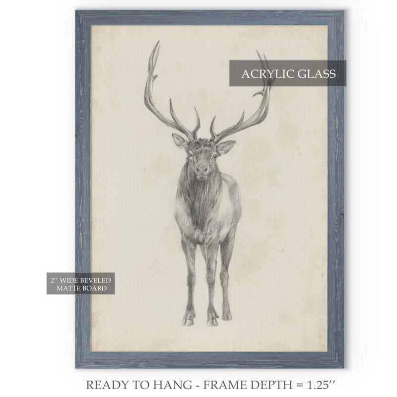 « elk study » par paul cezanne-photo-cadre, reproduction d’art, H 30 po x l 22 po x P 1,25 po, Cadre de toile gris
