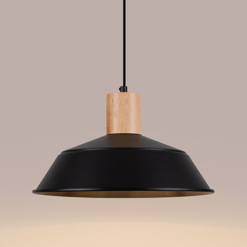 1 - Light Stainless Steel Pendant, Black