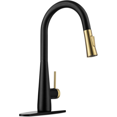 CHLAPRO Tohlar Pull Down Single Handle Kitchen Faucet with Side Spray