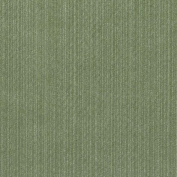 Velvet Encyclopedia IV Fabric