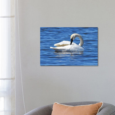 Rearranging 1 Piece Wrapped Canvas Wall Art