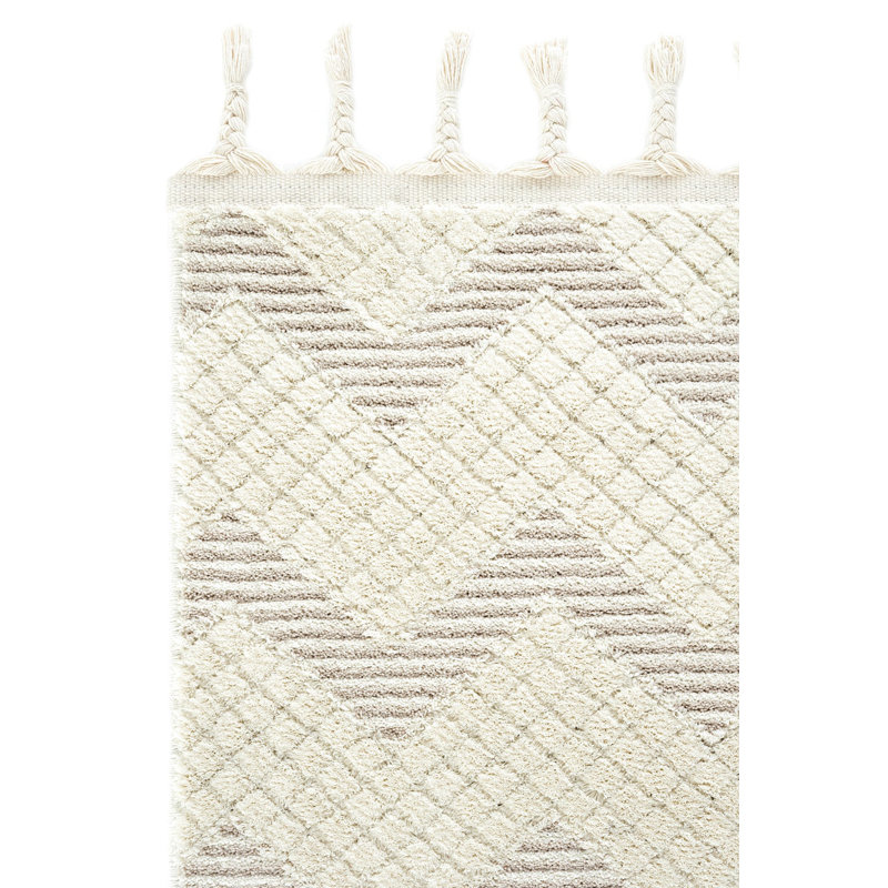 Renlie Machine Made Indoor / Outdoor Area Rug, Rectangle 2'7.5" x 4'11.1"