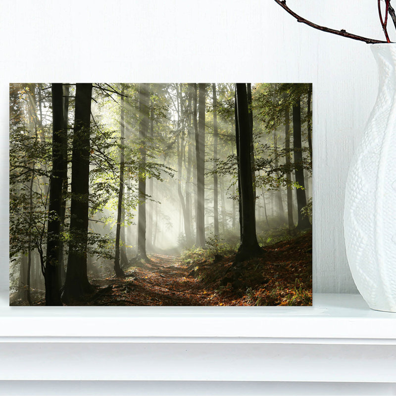 Lumière dans une forêt d'automne dense avec brouillard, œuvre d'art, H 8 po x l 12 po, Toile tendue, Sans cadre