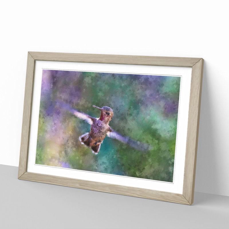 Hummingbird Vol.2 - Picture Frame Graphic Art, 48cm H x 65cm W x 2cm D, Oak Framed