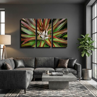 «Succulent VI» par Dennis Frates, art mural triptyque, 36 po x 24 po