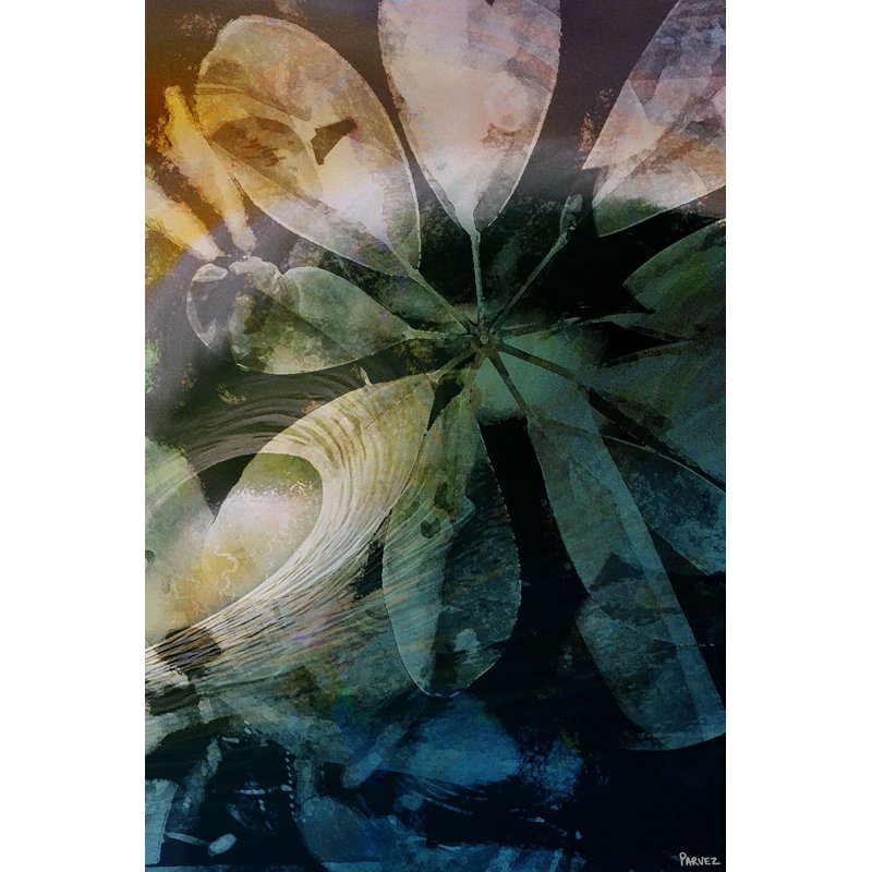 Parvez Taj - Wrapped Canvas Print, 114cm H x 76cm W