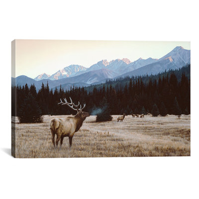 'Autumn Meadow' by Ron Parker Photographic Print on Canvas