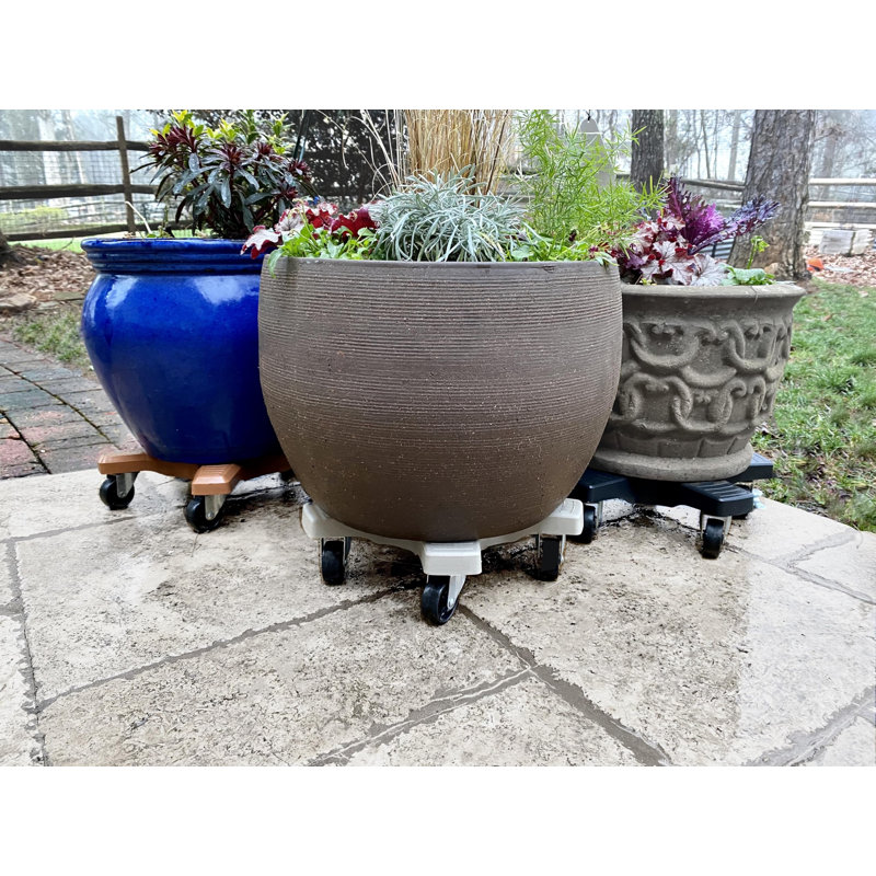 Support pour plante 14 po - Support pour plante roulant robuste avec roues verrouillables, capacité de 500 lb, gris anthracite