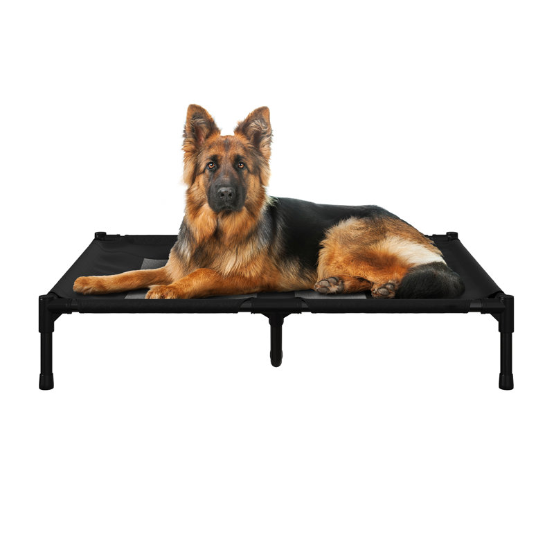 PETMAKER 36x30 - Inch Elevated Dog Bed - Indoor/Outdoor Portable Pet Bed with Carrying Case
