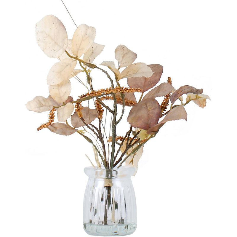 Eucalyptus 10 po